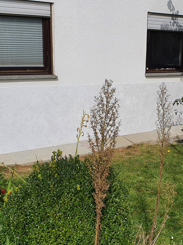 kewabo® gmbh köln referenzen